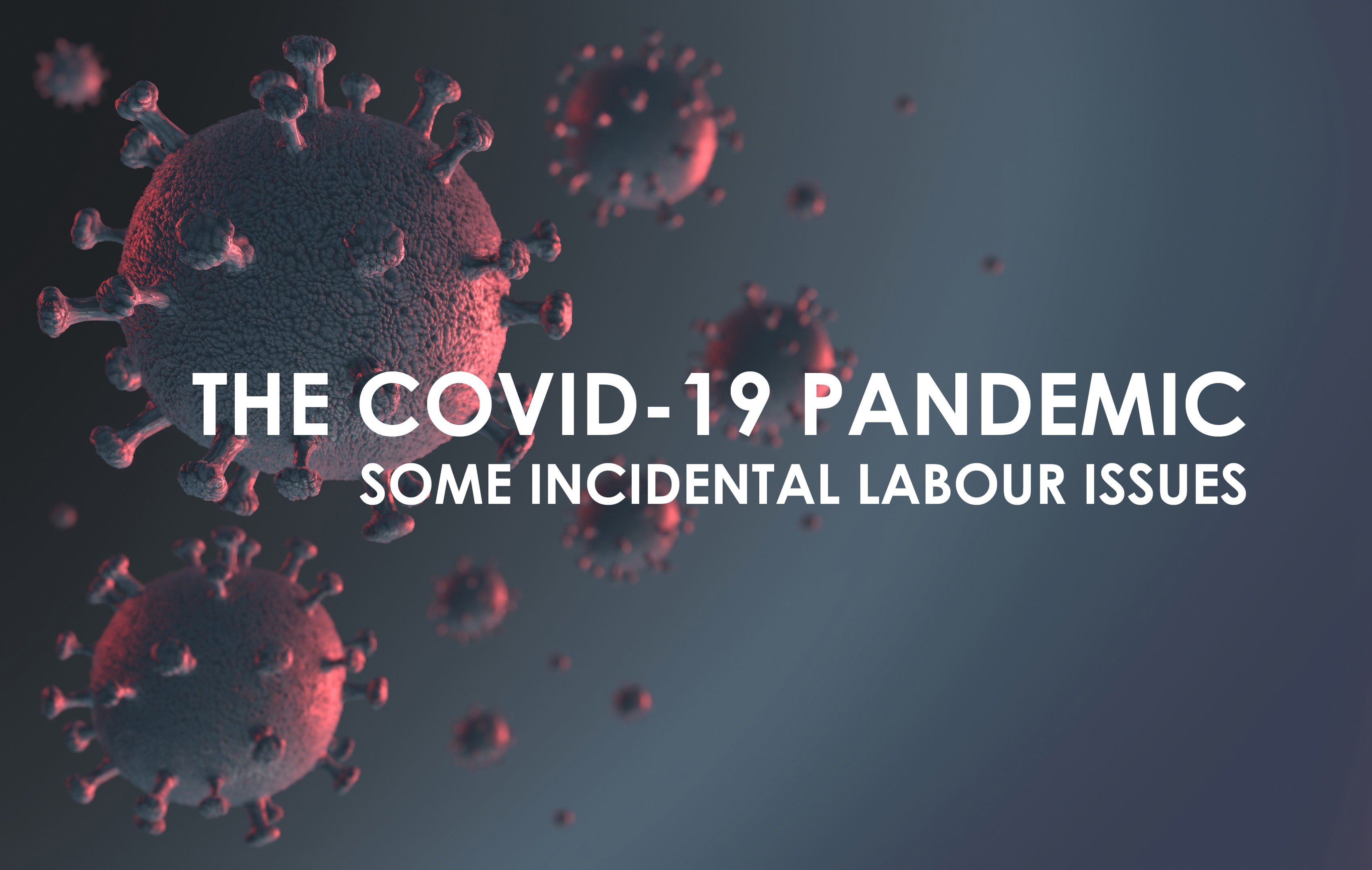 The Covid-19 Pandemic ~ Some Incidental Labour Issues