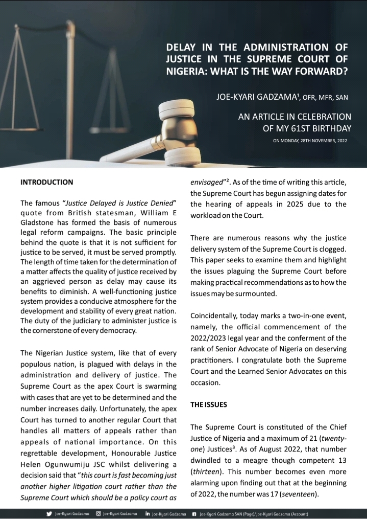 Cover of Delay In The Administration of Justice In The Supreme Court of Nigeria: What Is The Way Forward? 
