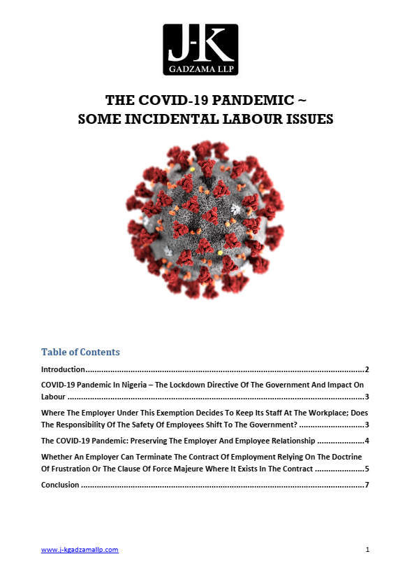 Cover of The Covid-19 Pandemic ~ Some Incidental Labour Issues